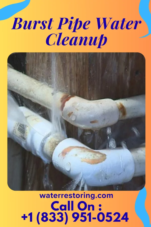 Burst Pipe Water Cleanup in Richwood, OH